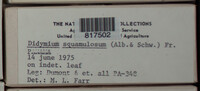 Image Associated With the Occurence